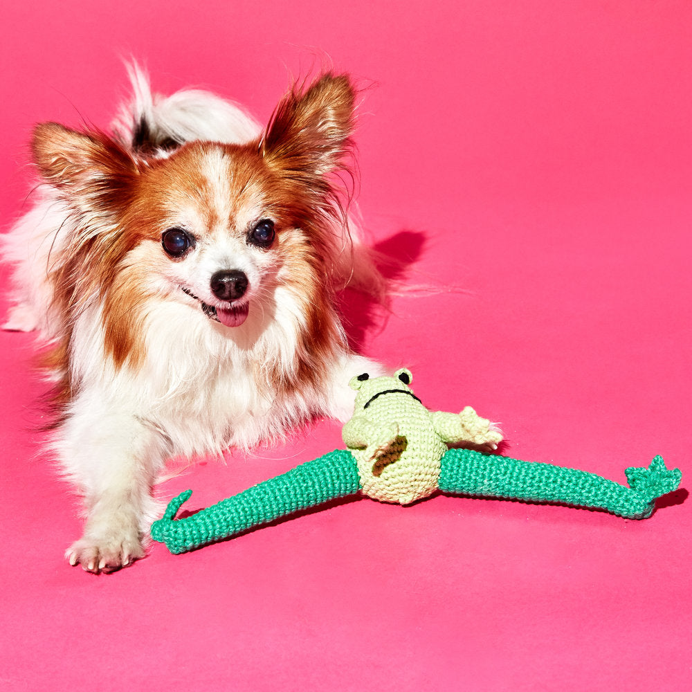 Hand Crochet Frog Dog Toy
